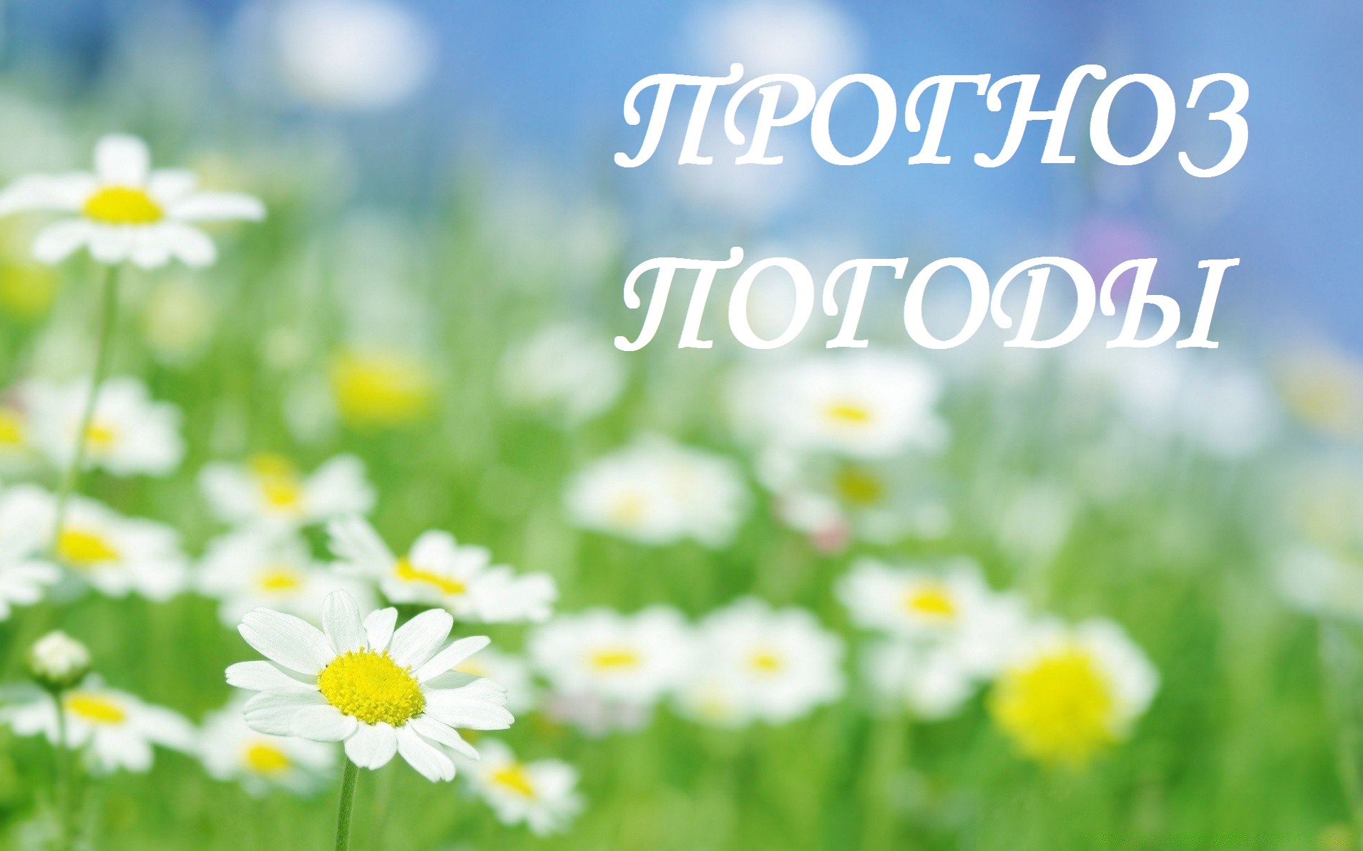 Прогноз погоды на 02.08.2023.