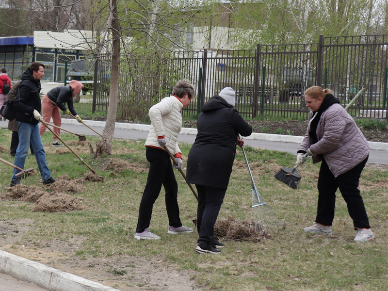 Нарушение Правил благоустройства территории городского округа ЗАТО Светлый влечет административную ответственность.