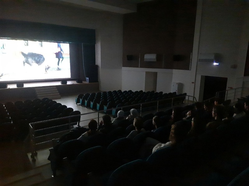 Перечень кинофильмов и мультфильмов для просмотра в образовательных организациях.