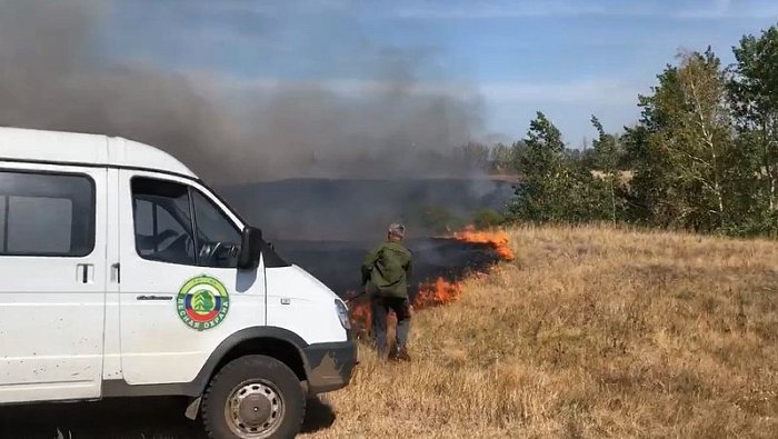 В Саратовской области снова введено ограничение пребывания граждан в лесах.