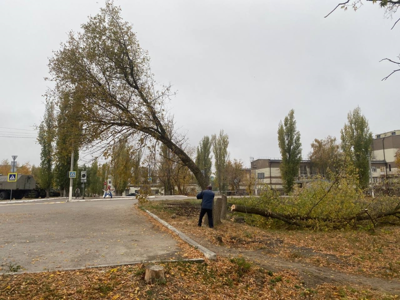 На общественных пространствах посёлка приводят в порядок зелёные зоны.