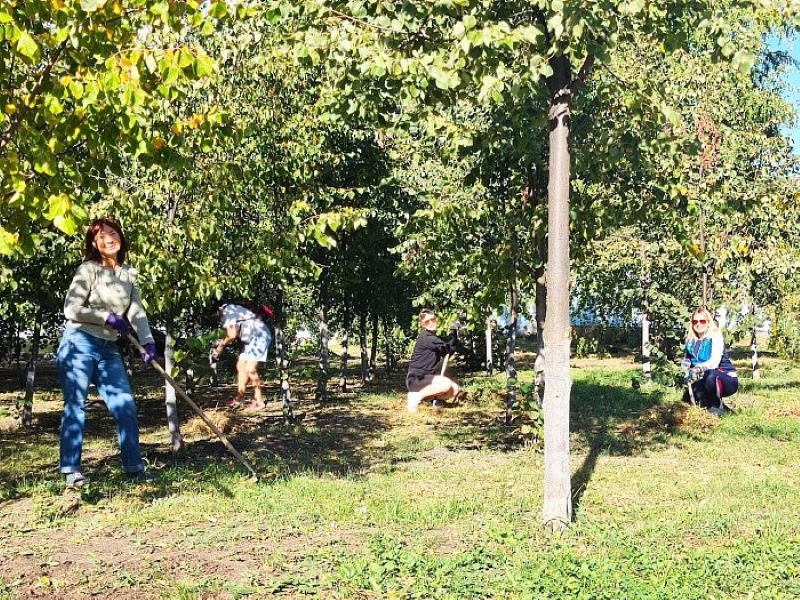 В Светлом продолжают приводить в порядок общественные территории.