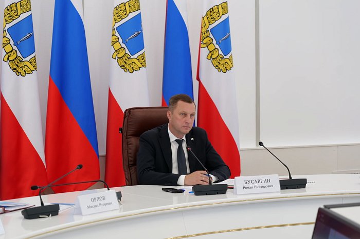 Инициативу, направленную на поддержку многодетных семей, внесли на рассмотрение в областную думу.