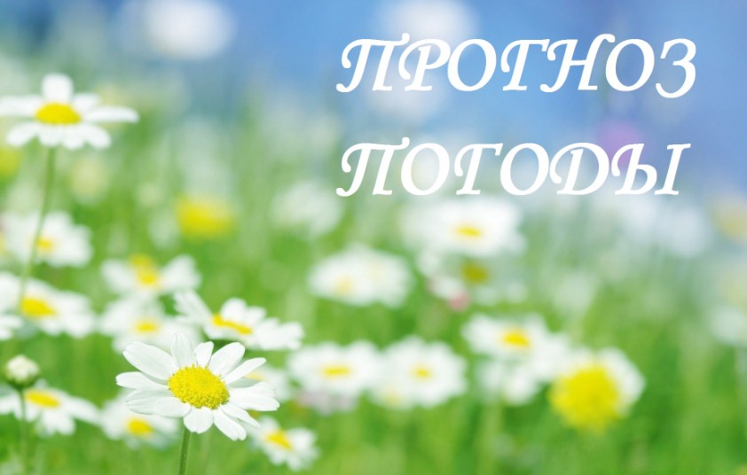 Прогноз погоды на 03.08.2023.