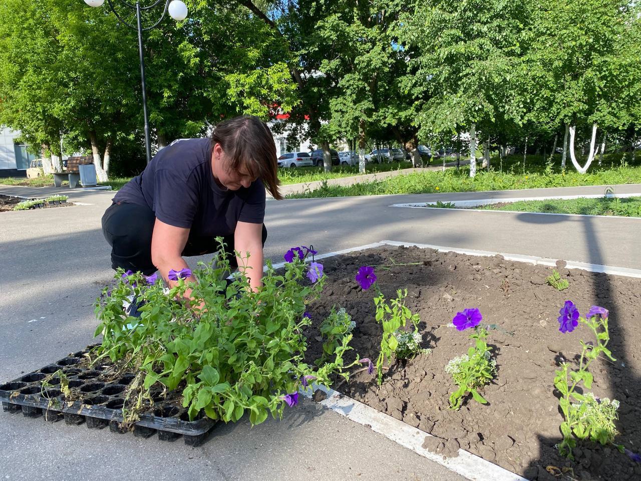 В Светлом продолжается озеленение территорий.