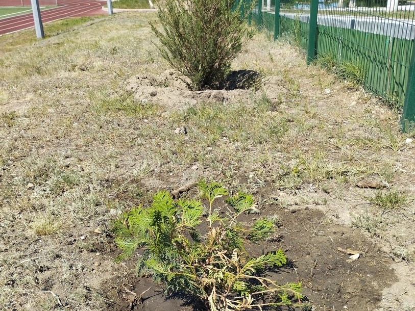 Продолжаются работы по благоустройству стадиона.