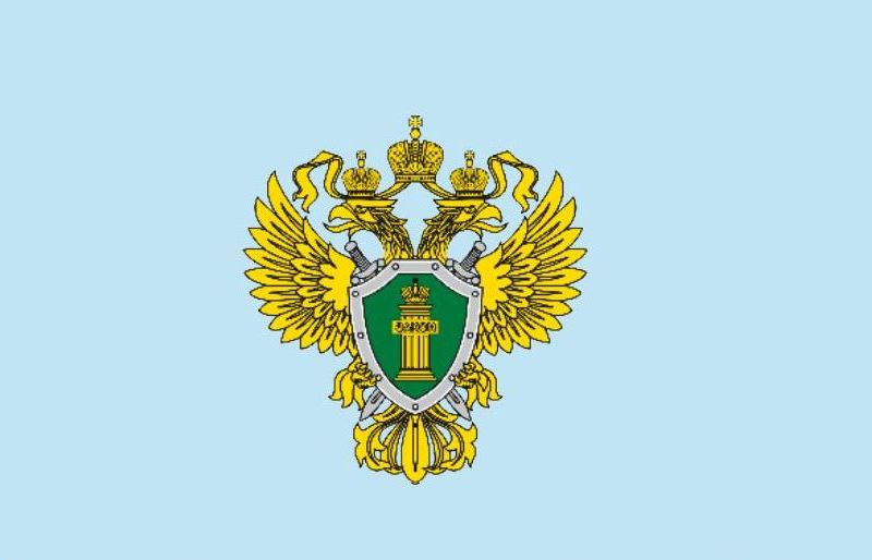 Прокуратура информирует: как получить поддержку предпринимателям.