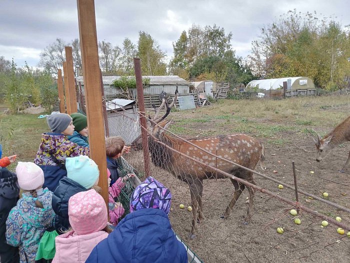 Выходной школьники провели в экопарке.