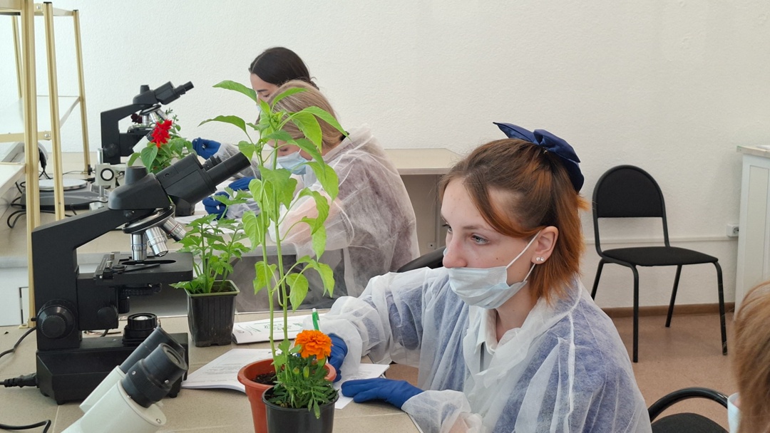 Светловская школьница стала участницей всероссийской олимпиады АгроИнтри.