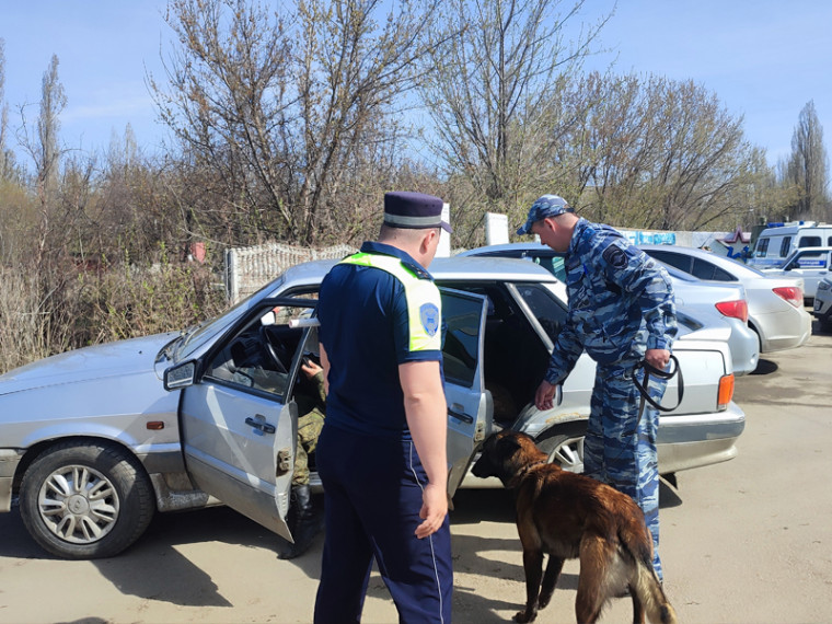 В Светлом прошли досмотровые мероприятия транспортных средств въезжающих на территорию поселка. В Светлом прошли досмотровые мероприятия транспортных средств въезжающих на территорию поселка.