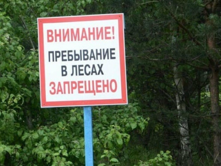В лесах Саратовской области вновь ограничили пребывание граждан. В лесах Саратовской области вновь ограничили пребывание граждан.